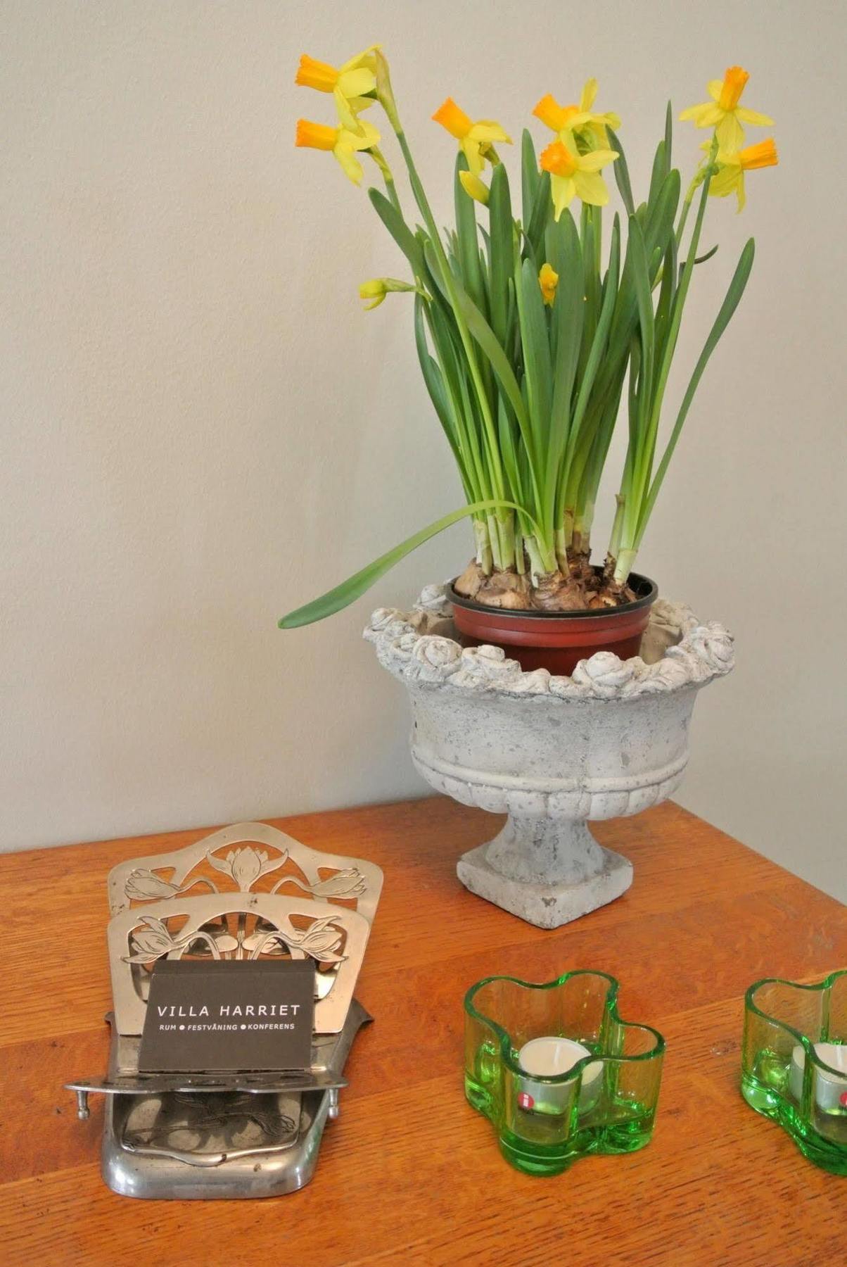 Villa Harriet Fittja Luaran gambar